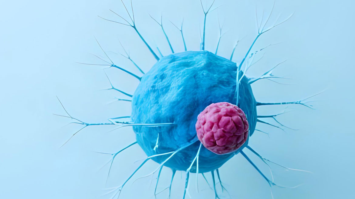 Immune System Modulation 