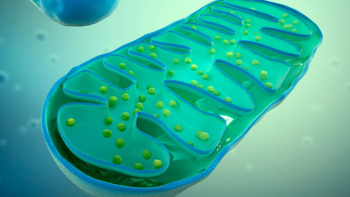 Metabolomic Interventions